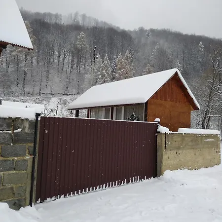 Карпатські Ночі Чан На Території Apartment Yaremche Exterior photo