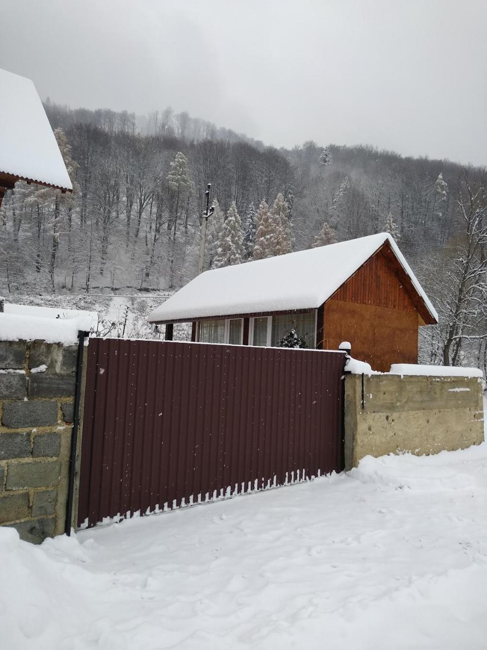карпатські ночі чан на території Yaremche